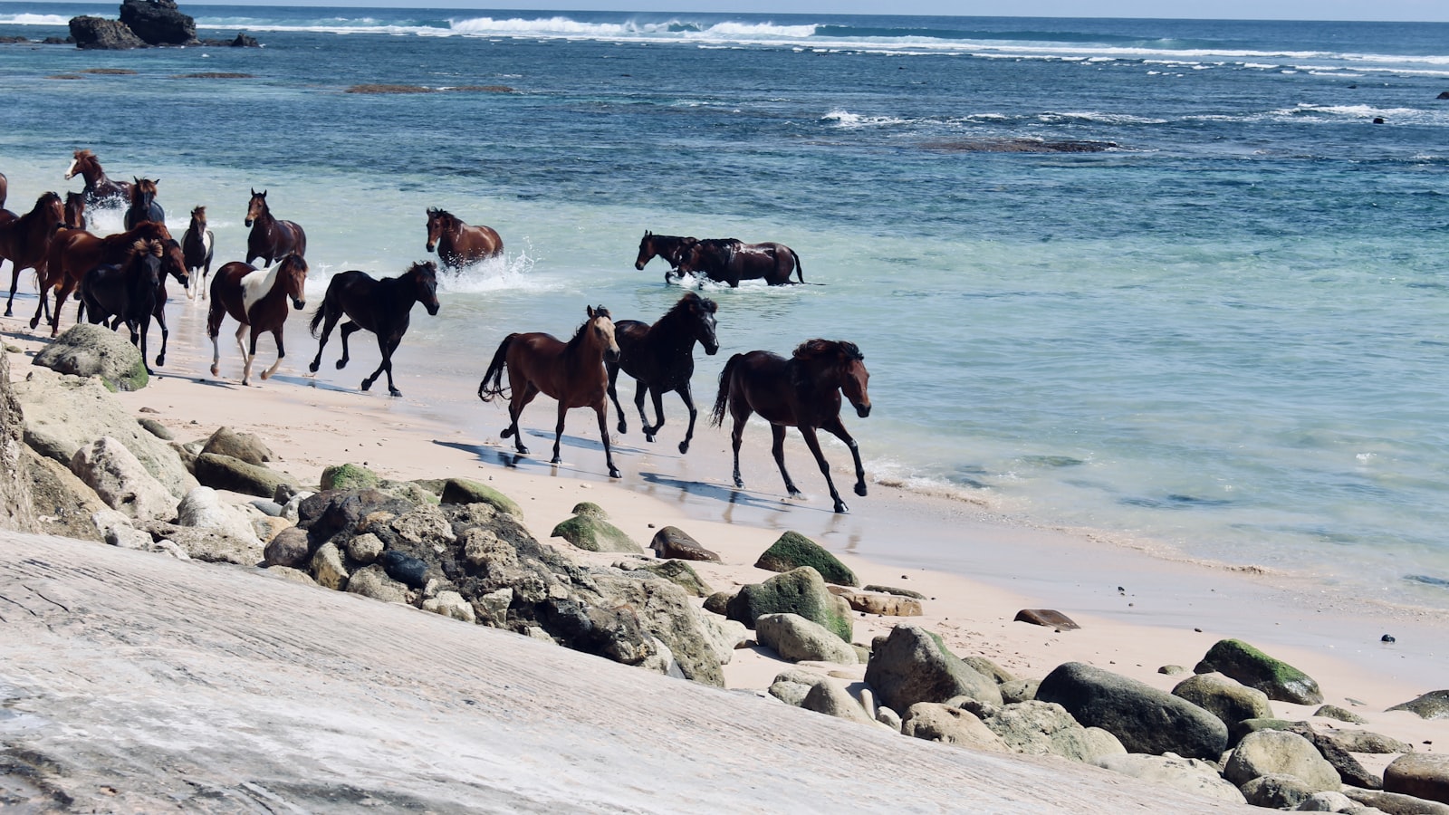 Wisata Sumba Barat 2026: Itinerary Hemat 3 Hari Menjelajahi Prai Ijing, Pantai Marosi, dan Laguna Weekuri