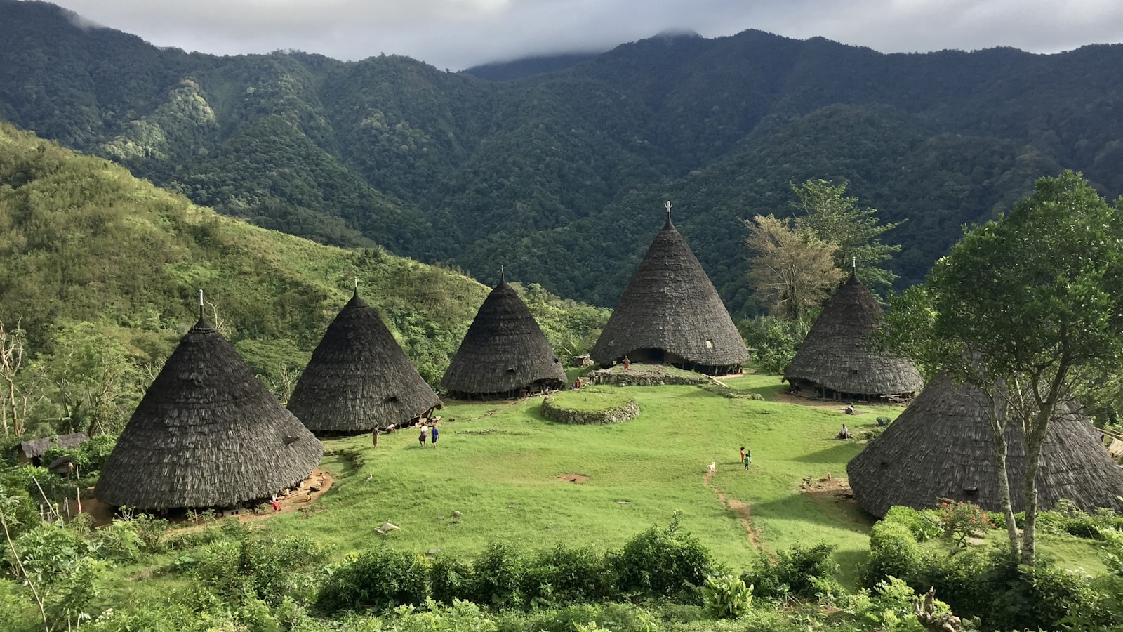 Wisata Instagrammable di Wae Rebo 2026: Panduan Hemat Berburu Foto Estetik di Desa di Atas Awan