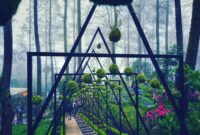 Wisata Instagrammable di Orchid Forest Cikole 2026: Panduan Hemat Berburu Spot Estetik di Hutan Pinus Bandung