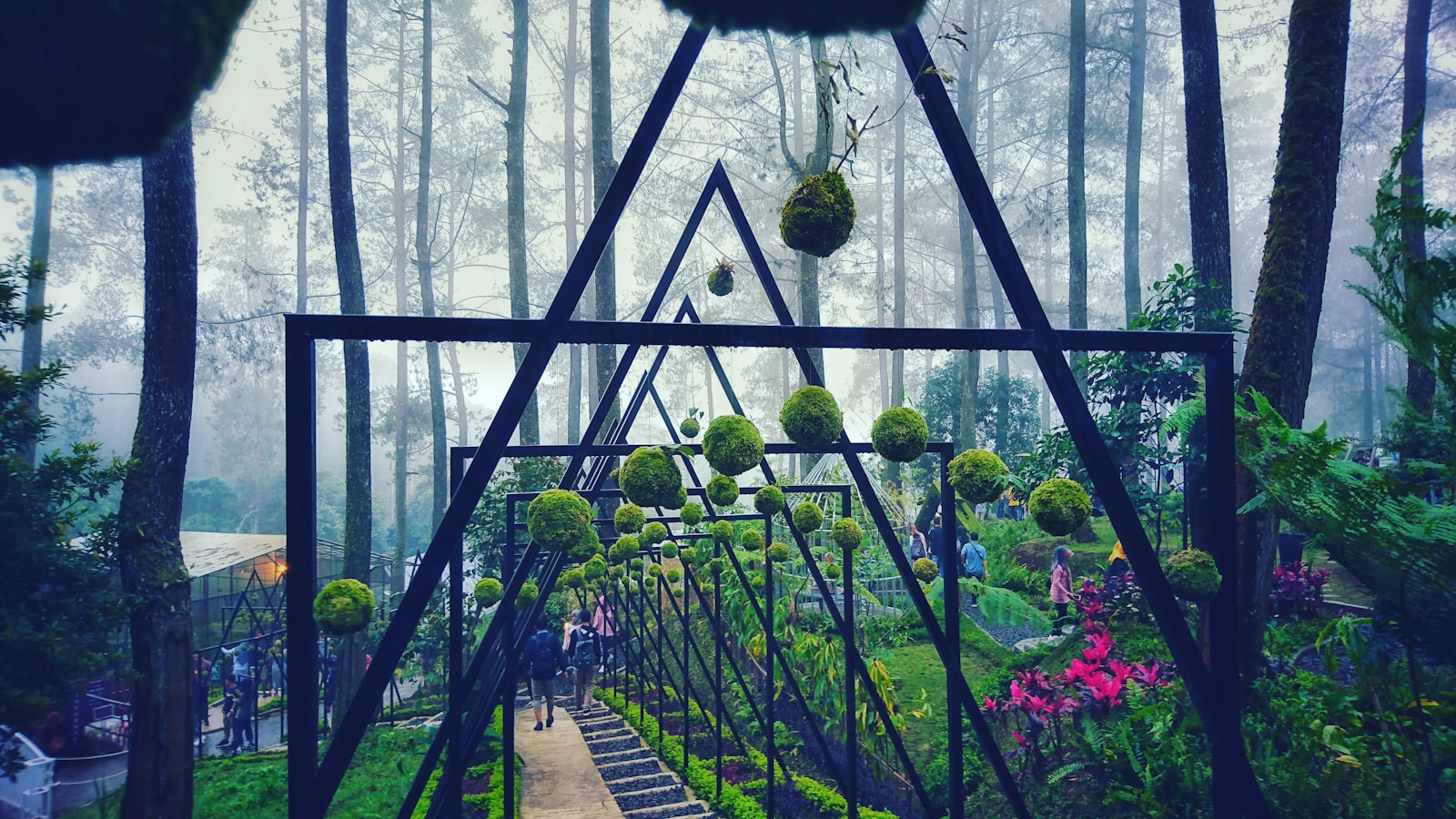 Wisata Instagrammable di Orchid Forest Cikole 2026: Panduan Hemat Berburu Spot Estetik di Hutan Pinus Bandung