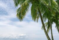 Wisata Instagrammable di Batukaras 2026: Panduan Hemat Menikmati Pantai Santai yang Mulai Naik Daun