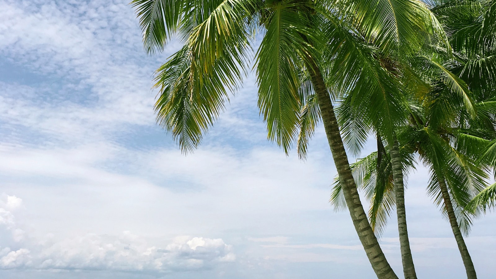 Wisata Instagrammable di Batukaras 2026: Panduan Hemat Menikmati Pantai Santai yang Mulai Naik Daun