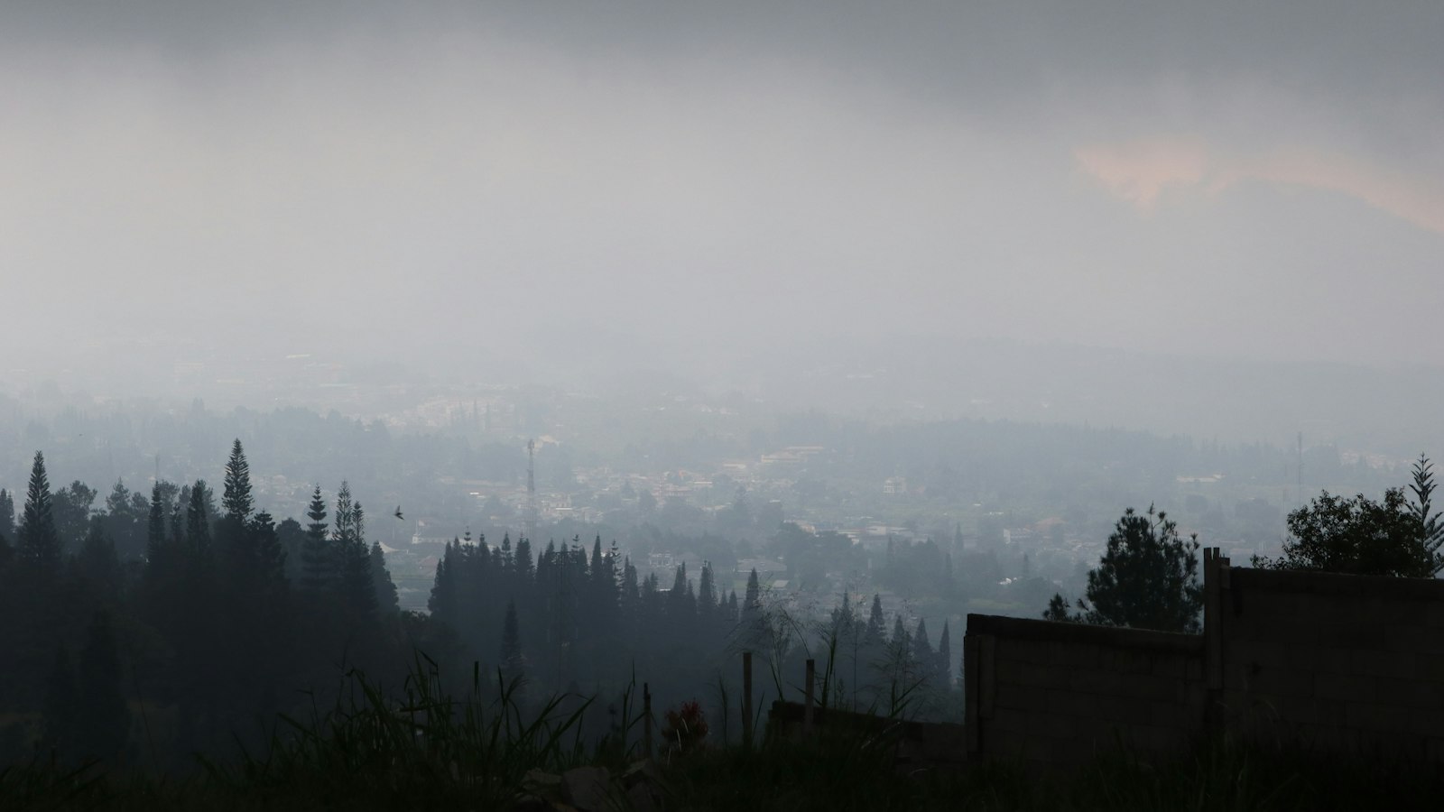 Vila Riung Gunung Puncak untuk Budget Traveler: Jejak Soekarno yang Kembali Viral di 2026