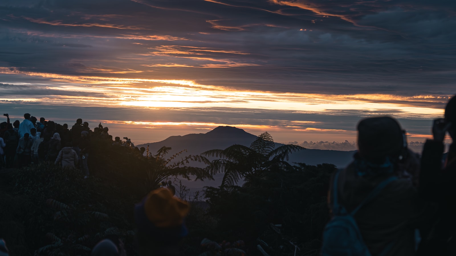 Wisata Instagrammable di Dataran Tinggi Dieng 2026: Panduan Hemat Berburu Sunrise, Kabut, dan Spot Estetik